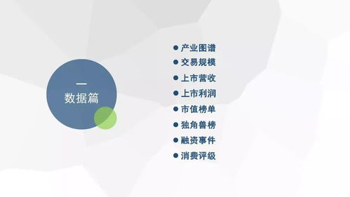 2018年度中國生活服務(wù)電商市場數(shù)據(jù)監(jiān)測(cè)報(bào)告發(fā)布 行業(yè)深度調(diào)整與高質(zhì)量發(fā)展并存